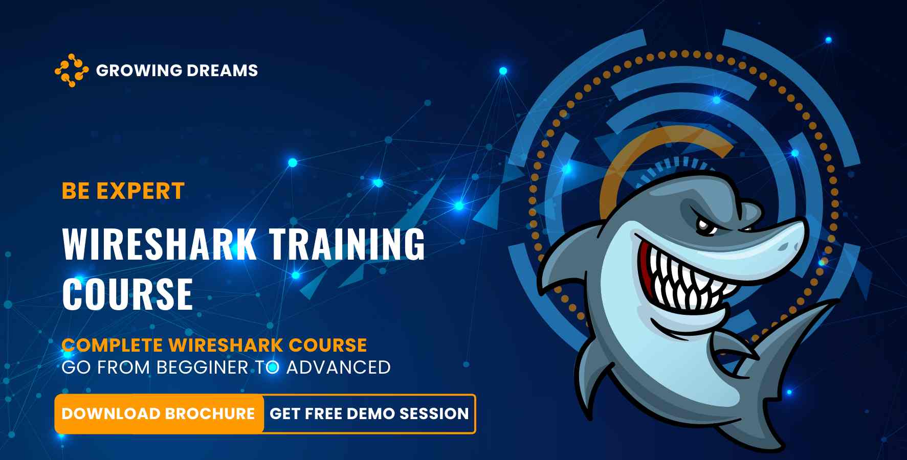 Wireshark Training Course CNC